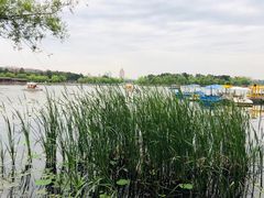 -长春市南湖公园