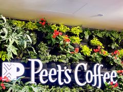 -Peet's Coffee皮爷咖啡(德基店)