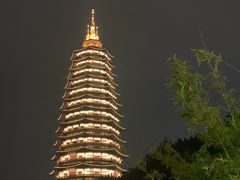 -听松楼·花园酒店·自助餐厅(红梅公园店)