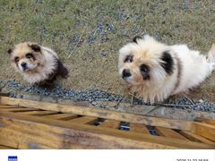 -茅山东方盐湖城景区