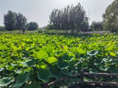 -渔岛海洋度假区