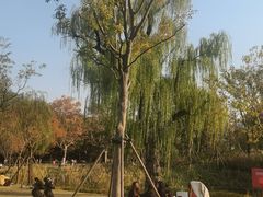 -中山公园