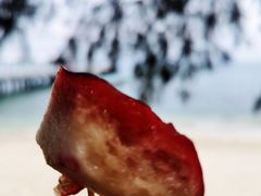 -三亚西岛海洋文化旅游区