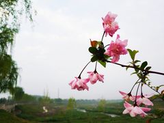 -洨河生态公园