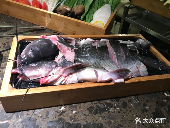 清江鲢鱼
