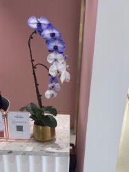 -Dr.U博士医疗美容医院
