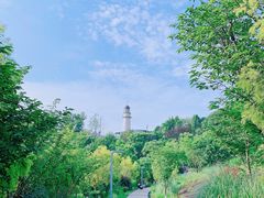 -金海湾滨江公园