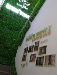 -莱可美科技美肤