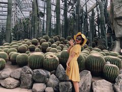-南山植物园