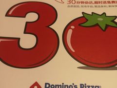 -达美乐比萨(武定店)
