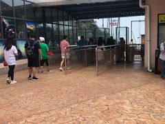 -梦幻奥陶纪景区