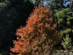-塔川景区