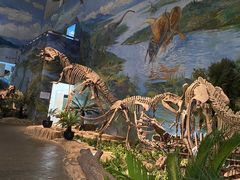 -自贡恐龙博物馆