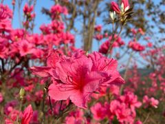 -十九峰景区-倒脱靴