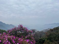 -广州市石门国家森林公园