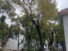 -安飞驰驾校·学车连锁(金高店)