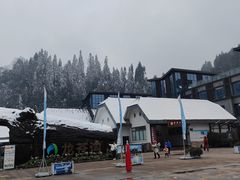 -龙苍沟森林公园