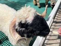 -水上乐园·欢乐世界