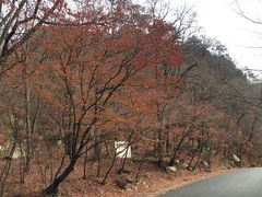-丹东天桥沟景区