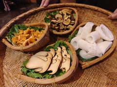 -滇野云南野生菌餐厅(陕西南路店)