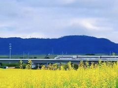 -光明小镇欢乐田园