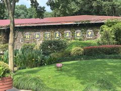 -中国茶叶博物馆(双峰馆区)