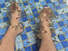 -温都水城·水梦奇缘