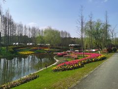 -东平国家森林公园
