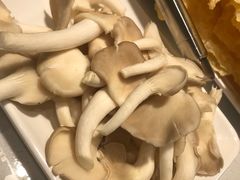 -古乐牛香·鲜牛肉牛杂火锅(吴江三里桥运东商业广场店)