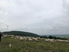 -塞罕坝国家级自然保护区