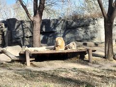 -北京野生动物园