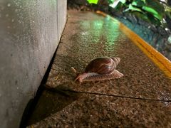 -海口观澜湖火山温泉谷