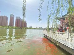 -迎泽公园