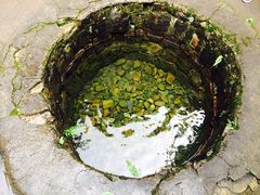 -溪口商量岗景区