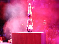 -珠海横琴长隆《卡卡虎奇遇记》