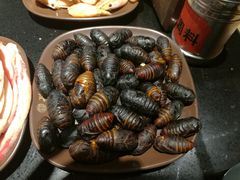 -鼎盛江山美食自助(欢乐城店)