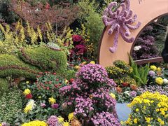 -杭州植物园