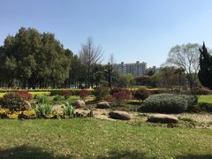 -中央公园(苏州工业园区)