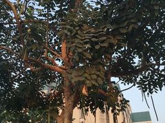 -尚泰清迈机场购物中心