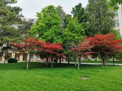 -北京化工大学(东校区)