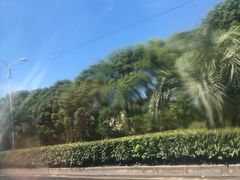 -安飞驰驾校·学车连锁(金高店)