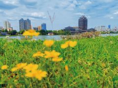 -眉山湿地公园(东坡区)