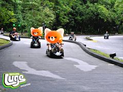 -圣淘沙天际线斜坡滑车