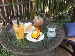 -Fern Forest Cafe