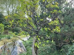 -杭州植物园