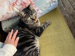 -唐咖精品咖啡(大理古城手冲店)