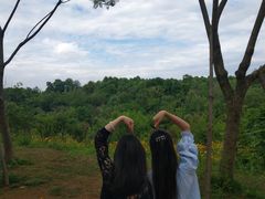 -白鹭湾湿地公园