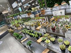 -鹿岛生活(熙地港店)