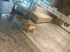 -长沙钦天·悦酒店(万家丽广场高桥北地铁站店)