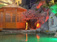 -宝丽金大酒店·洗浴中心